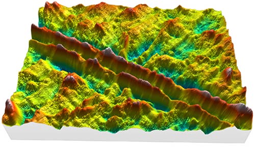 Microscopic Image of Surface Microroughness
